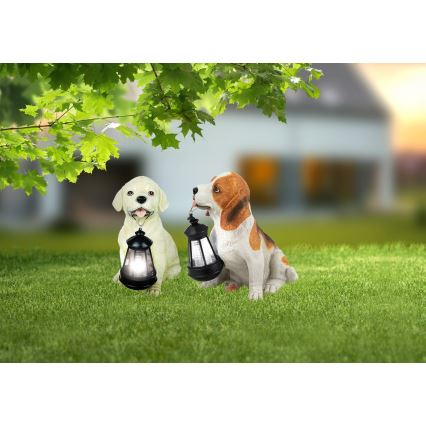Globo - LED Solar light LED/0,06W/3V dog IP44 600 mAh