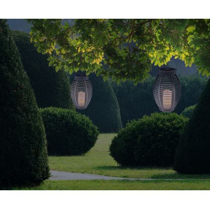 Globo - LED Solar light LED/0,06W/3,2V IP44 rattan