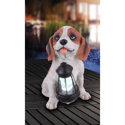 Globo - LED Solar light LED/0,06W/3V IP44