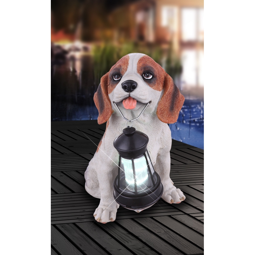 Globo - LED Solar Light, 0.06 W / 3 V, IP44, 600 mAh