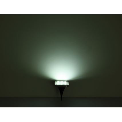 Globo - SET 2x LED Solar light LED/0,8W/1,2V IP44