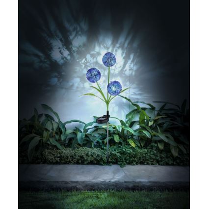 Globo - LED Solar light 3xLED/0,06W/3V 5000K IP44 purple