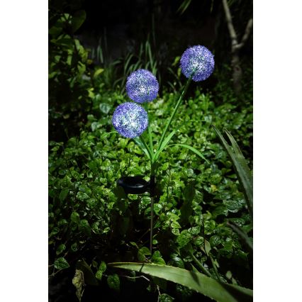Globo - LED Solar light 3xLED/0,06W/3V 5000K IP44 purple