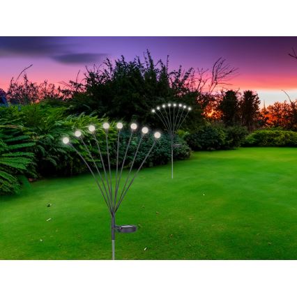 Globo - LED Solar light 8xLED/0,06W/3,2V 3000K IP44