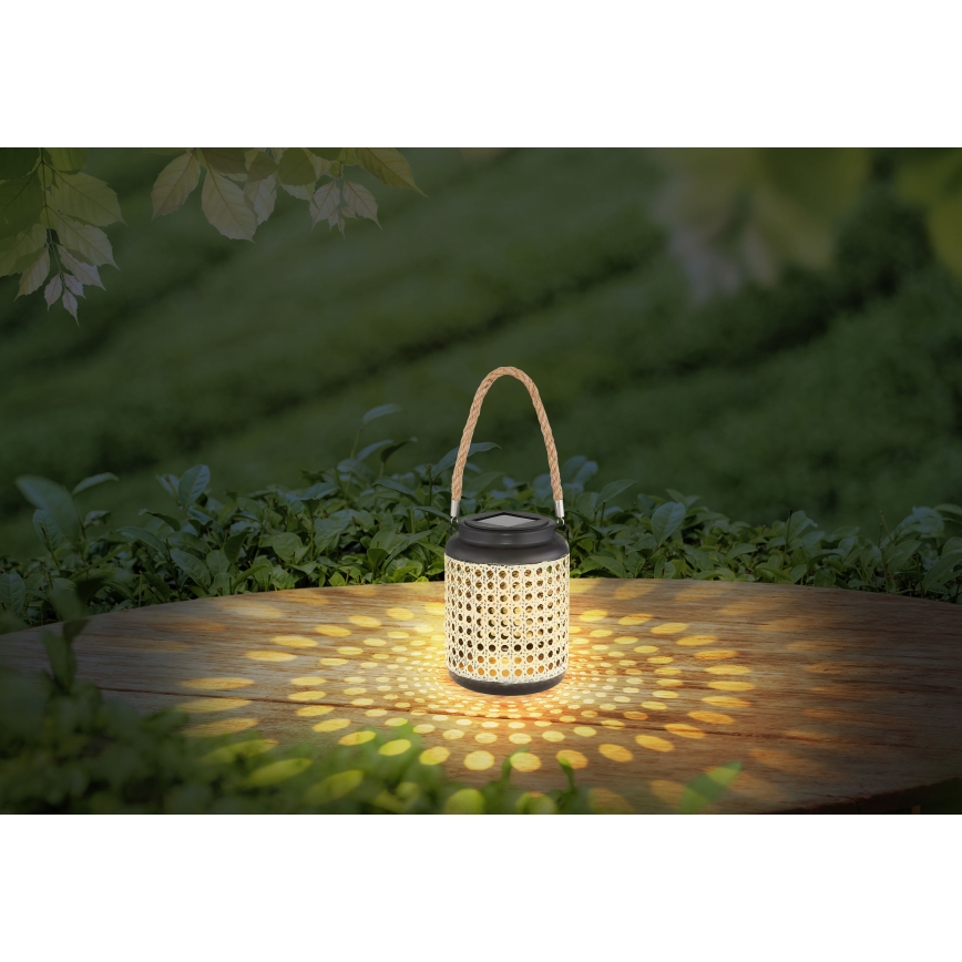 Globo - LED Solar light LED/0,06W/3V 3000K IP44 bamboo