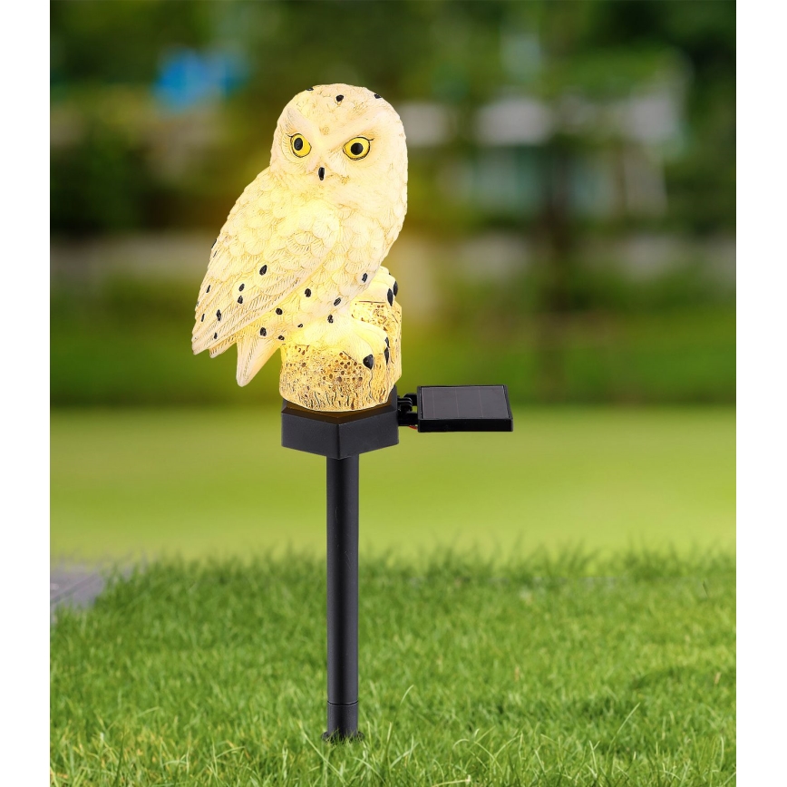 Globo - LED Solar light LED/0,06W/3V IP44 owl