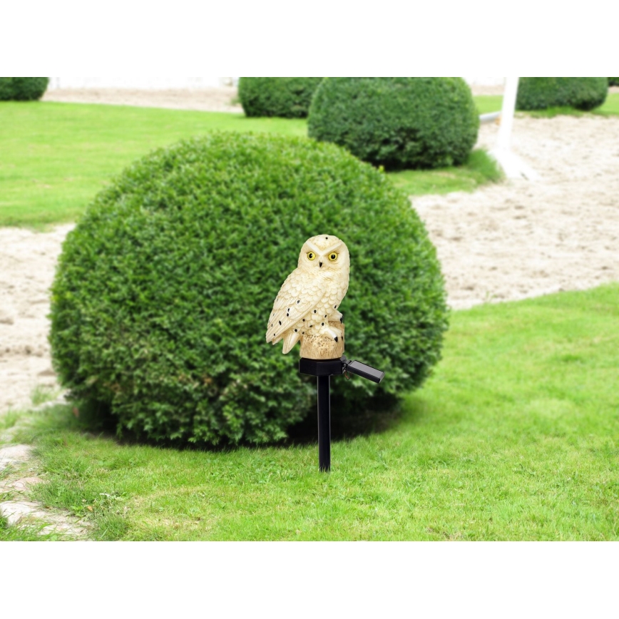 Globo - LED Solar light LED/0,06W/3V IP44 owl