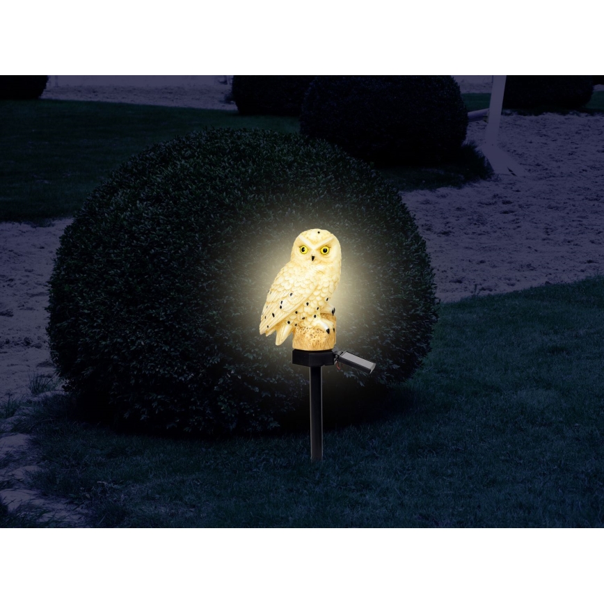 Globo - LED Solar light LED/0,06W/3V IP44 owl