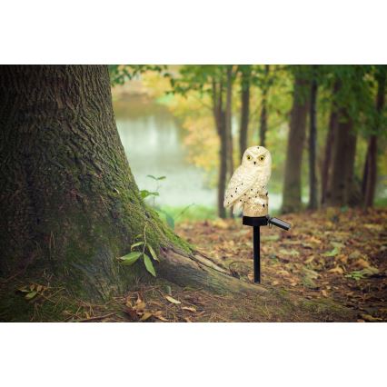 Globo - LED Solar light LED/0,06W/3V IP44 owl