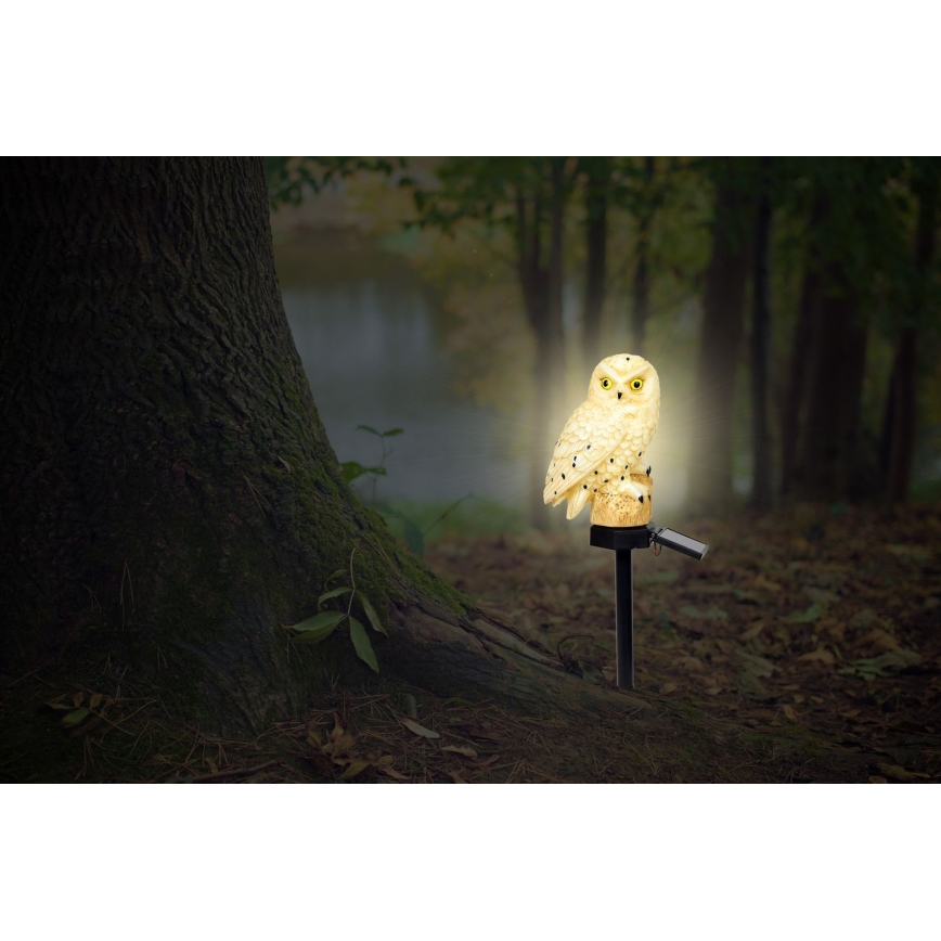 Globo - LED Solar light LED/0,06W/3V IP44 owl