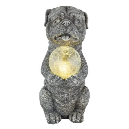 Globo - LED Solar decoration LED/0,02W/3V IP44 dog