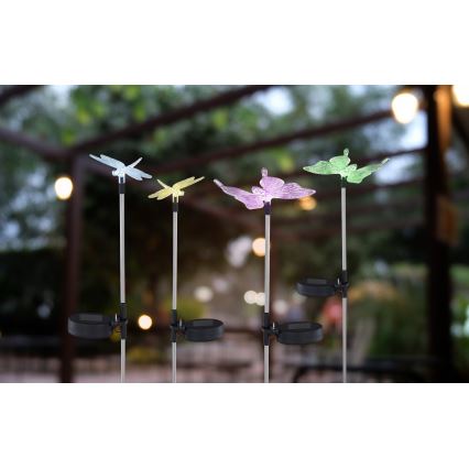 Globo - SET 4x LED Solar light LED/0,06W/3V IP44