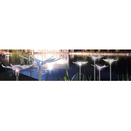 Globo - SET 4x LED Solar light LED/0,06W/3V IP44
