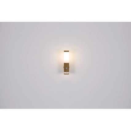 Globo - Outdoor lamp 1xE27/15W/230V IP44