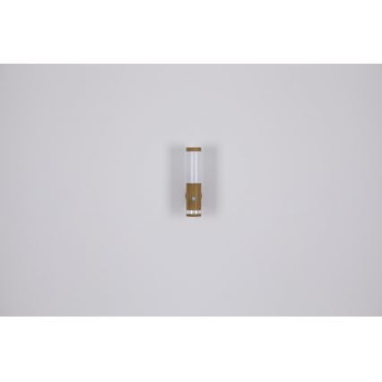 Globo - Outdoor lamp 1xE27/15W/230V IP44