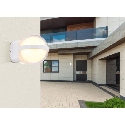 Globo - LED Outdoor wall light LED/12W/230V IP54 white