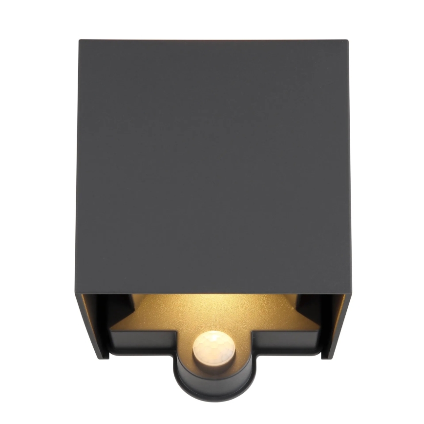 Globo - LED Outdoor Wall Light with Sensor 2xLED/3W/230V IP54