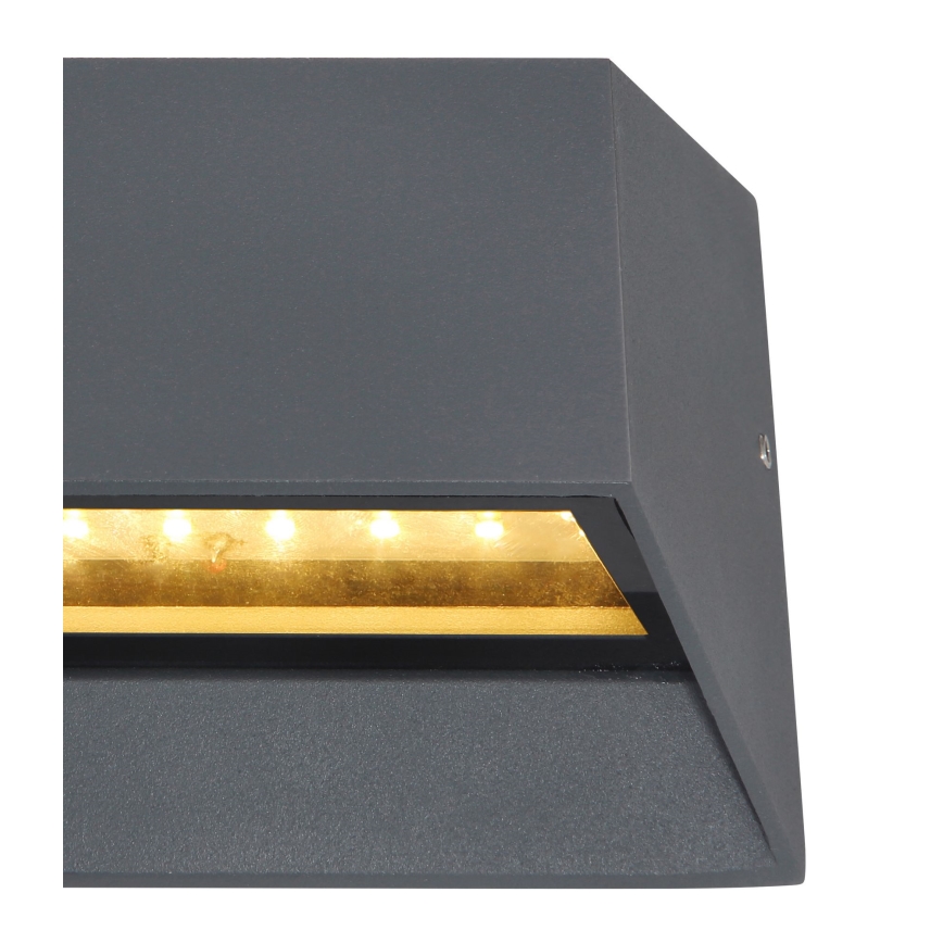 Globo - LED Outdoor wall light LED/7W/230V IP54 anthracite