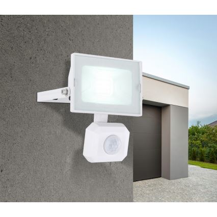 Globo - LED Flood light with sensor LED/10W/230V IP44