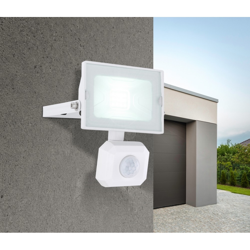 Globo - LED Flood light with sensor LED/10W/230V IP44