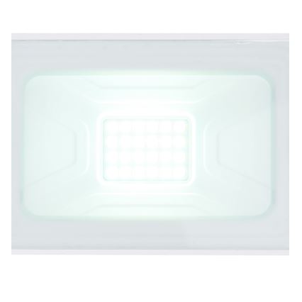 Globo - LED Flood Light LED/20W/230V IP65