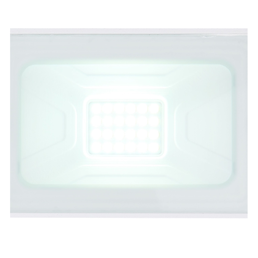 Globo - LED Flood Light LED/20W/230V IP65