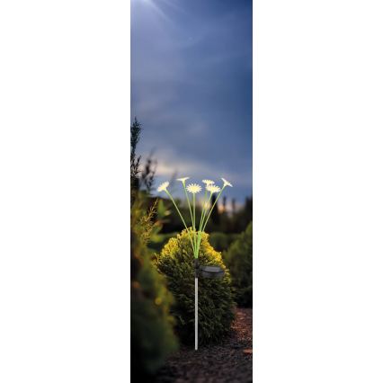 Globo - LED Solar Light 6xLED/3V IP44 600 mAh flower