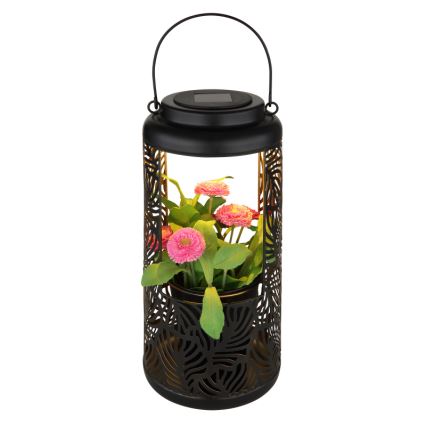 Globo - LED Solar light LED/0,06W/3V 3000K IP44