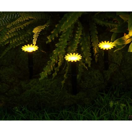 Globo - LED Solar String Lights 5xLED/3 V IP44 300 mAh 2.2 m, flower-shaped