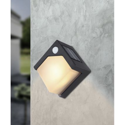 Globo - LED Solar light with a sensor LED/0,48W/3V IP44