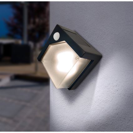 Globo - LED Solar light with a sensor LED/0,48W/3V IP44