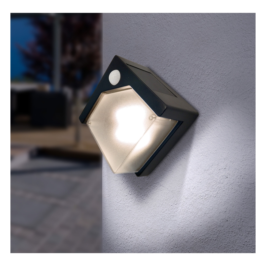 Globo - LED Solar light with a sensor LED/0,48W/3V IP44