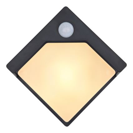 Globo - LED Solar light with a sensor LED/0,48W/3V IP44
