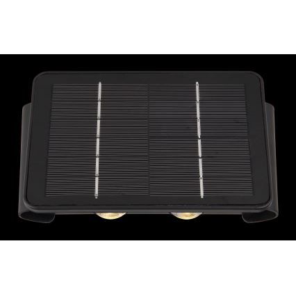 Globo - LED Solar light LED/1W/3,2V 3000K IP54