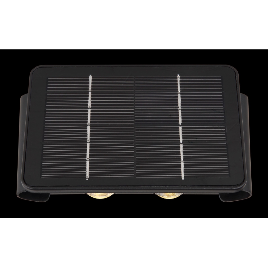 Globo - LED Solar light LED/1W/3,2V 3000K IP54