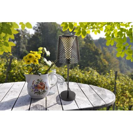 Globo - LED Solar light LED/0,06W/3V IP44
