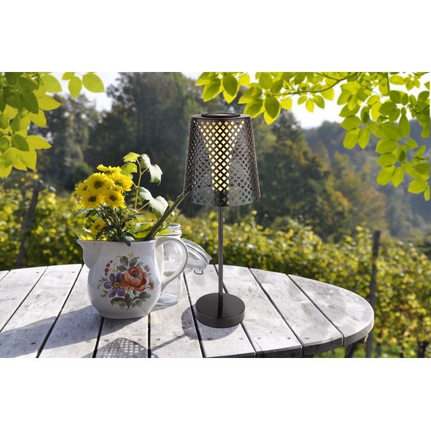 Globo - LED Solar light LED/0,06W/3V IP44