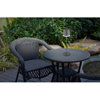 Globo - LED Solar light LED/0,6W/3V 3000K IP44 1200 mAh anthracite