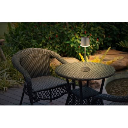 Globo - LED Solar light LED/0,6W/3V 3000K IP44 1200 mAh anthracite