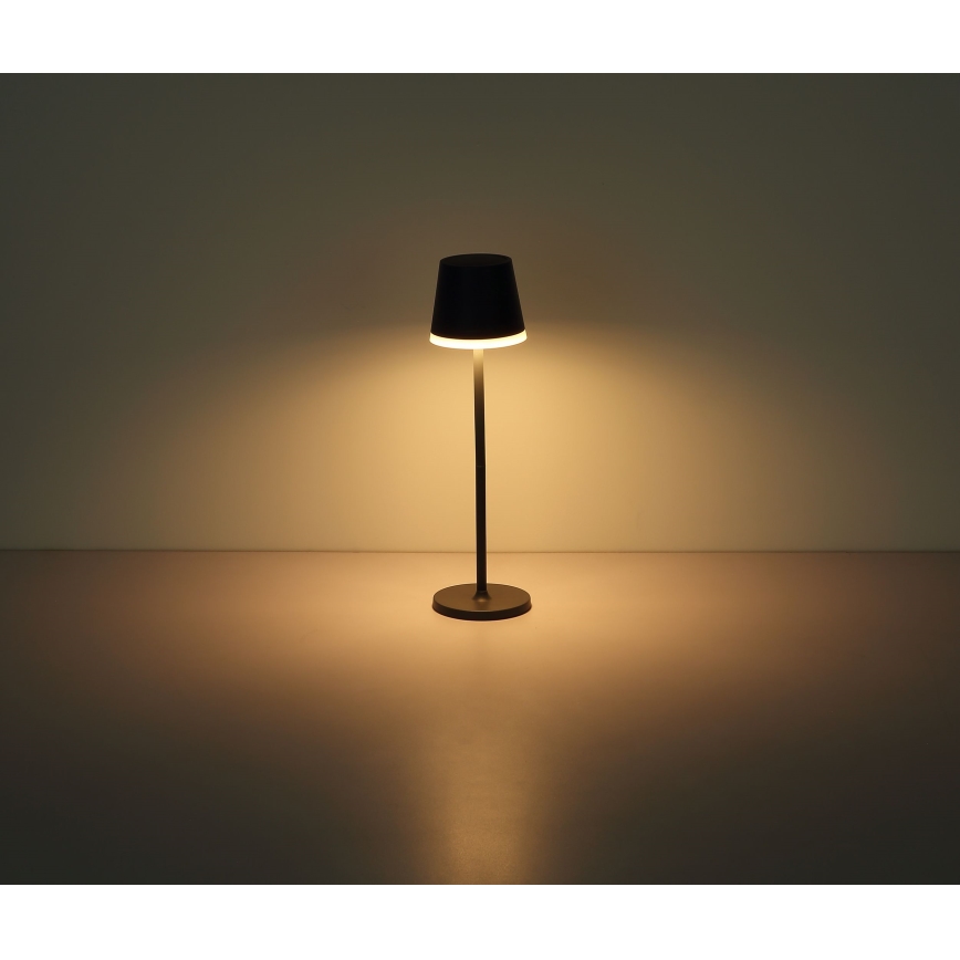 Globo - LED Solar light LED/0,6W/3V 3000K IP44 1200 mAh anthracite
