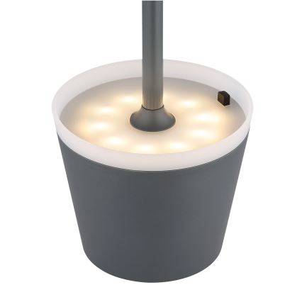 Globo - LED Solar light LED/0,6W/3V 3000K IP44 1200 mAh anthracite