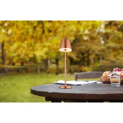 Globo - LED Solar light LED/0,6W/3V 3000K IP44 copper