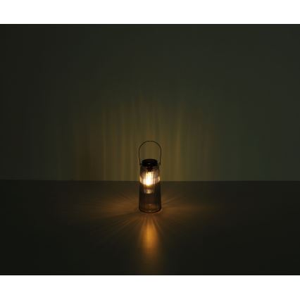 Globo - LED Solar light 2xLED/0,5W/3V 3000K IP44
