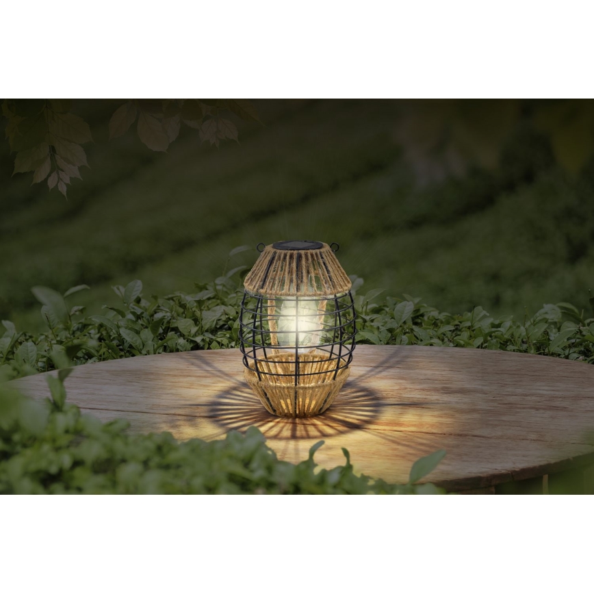 Globo - LED Solar light LED/2W/3V IP44