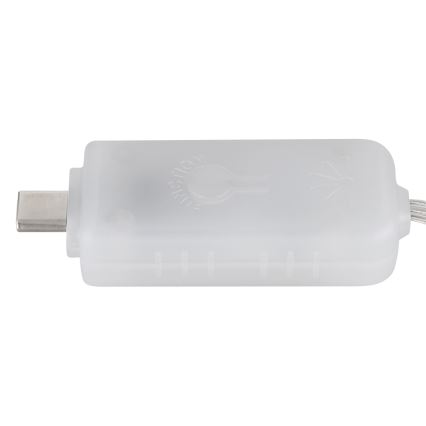 Globo - LED Strip 100xLED/0,06W/5V 10 m 8 functions