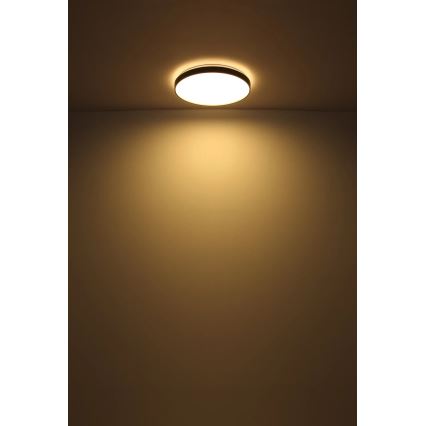 Globo - LED Ceiling light LED/24W/230V d. 48 cm anthracite