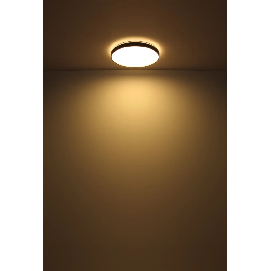 Globo - LED Ceiling light LED/24W/230V d. 48 cm anthracite