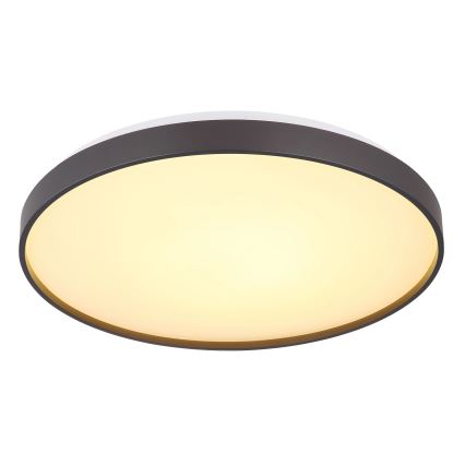 Globo - LED Ceiling light LED/24W/230V d. 48 cm anthracite