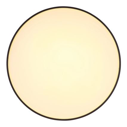 Globo - LED Ceiling light LED/24W/230V d. 48 cm anthracite