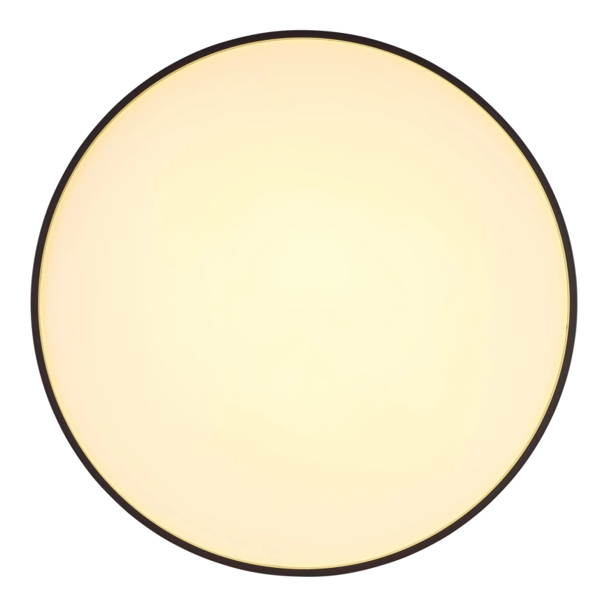 Globo - LED Ceiling light LED/24W/230V d. 48 cm anthracite
